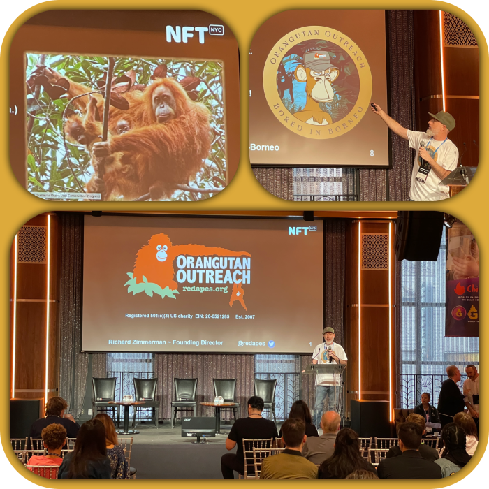 Images of Richard Zimmerman presenting at NFT.NYC in 2022 about Orangutan Outreach.